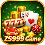 ZS999 Game featured image