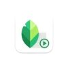 Snapseed APK Download