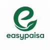 Easypaisa Style Logo Design